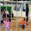 Corn Pit